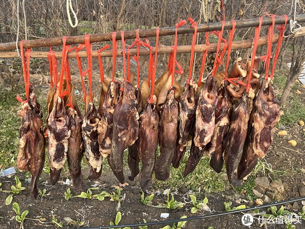 咸肉飄香新春到 冬日里的年味與鄉愁