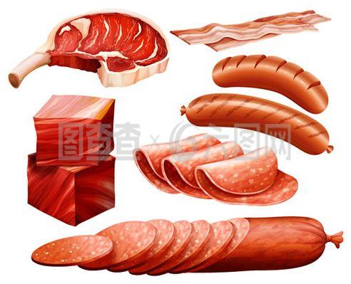 美味肉制品設計矢量素材精選與下載指南